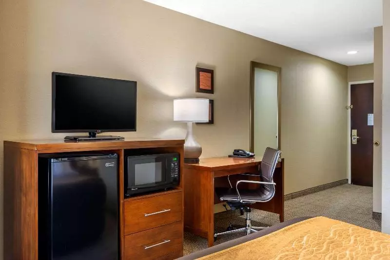 キングサイズベッドのスタンダードルーム, Comfort Inn & Suites Peachtree Corners