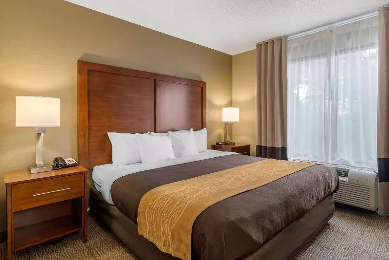 キングサイズベッドのスタンダードルーム, Comfort Inn & Suites Peachtree Corners