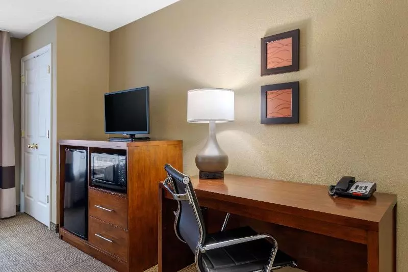 キングサイズベッドのスタンダードルーム, Comfort Inn & Suites Peachtree Corners