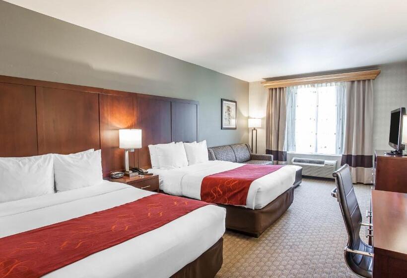 适合残疾人士使用的套间, Comfort Suites Airport Tukwila Seattle