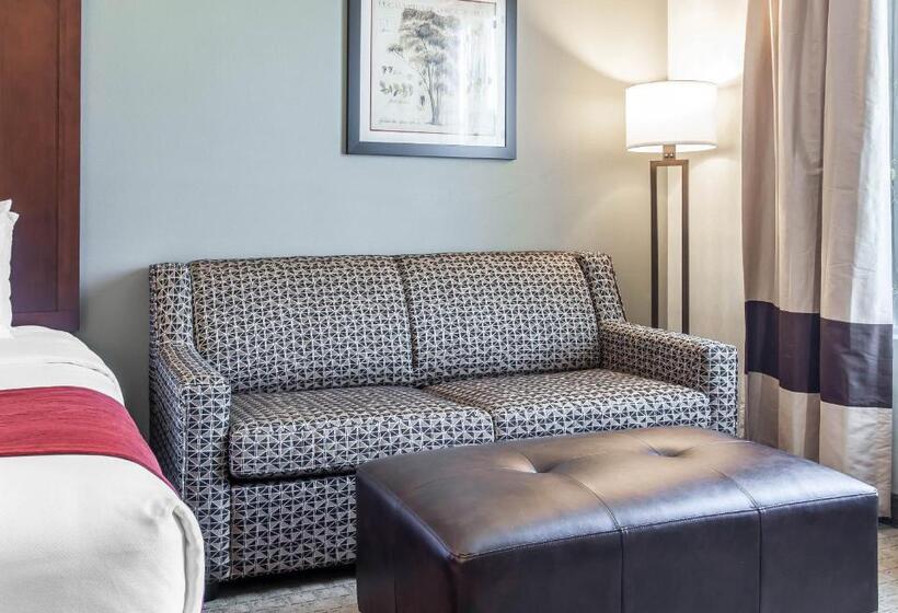 适合残疾人士使用的套间, Comfort Suites Airport Tukwila Seattle