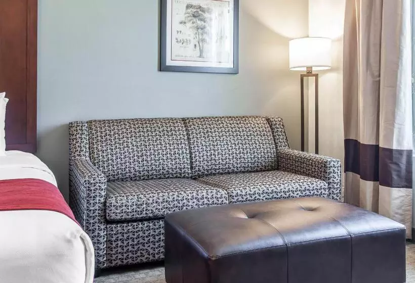 سوئیت برای معلولان, Comfort Suites Airport Tukwila Seattle