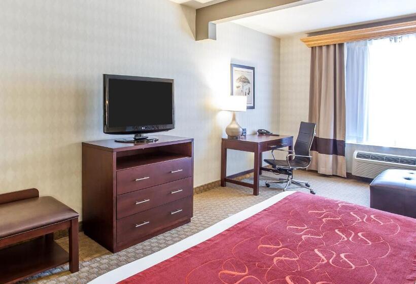 适合残疾人士使用的套间, Comfort Suites Airport Tukwila Seattle