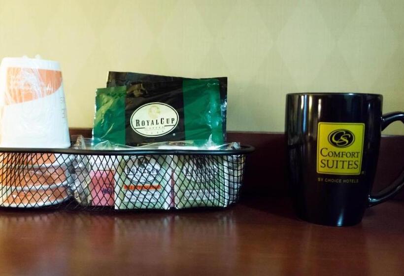 适合残疾人士使用的套间, Comfort Suites Airport Tukwila Seattle