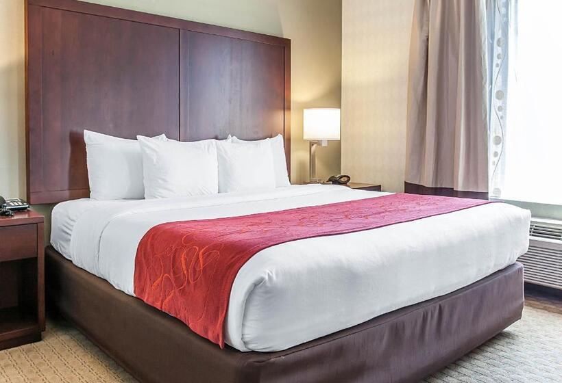 适合残疾人士使用的套间, Comfort Suites Airport Tukwila Seattle