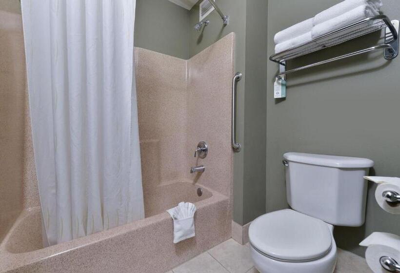 适合残疾人士使用的套间, Comfort Suites Airport Tukwila Seattle