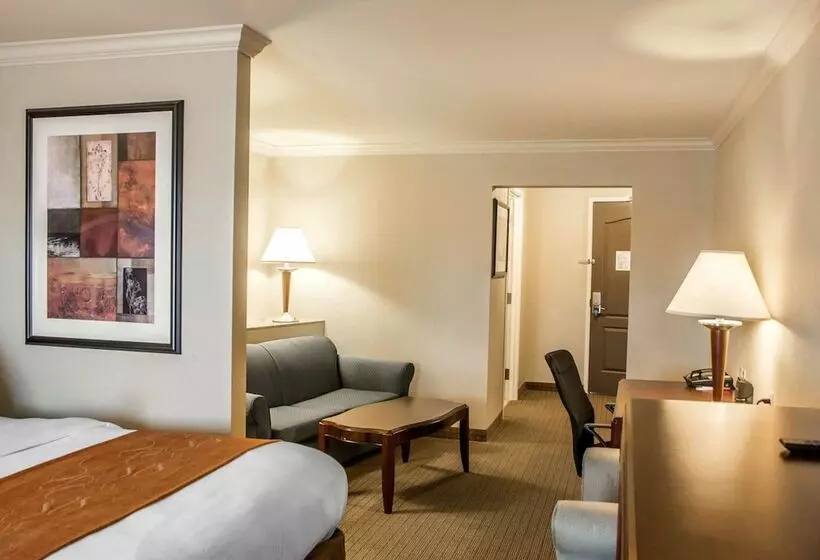 スイート, Comfort Suites Cincinnati North