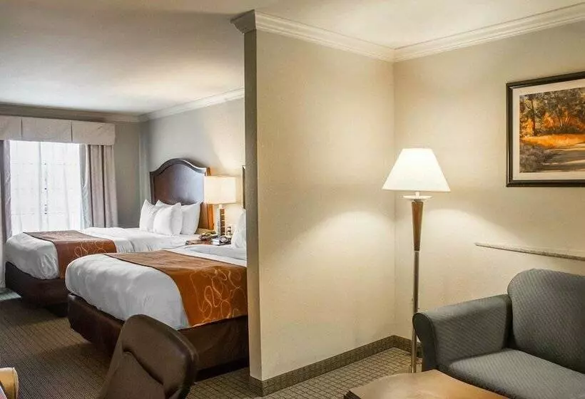 スイート, Comfort Suites Cincinnati North