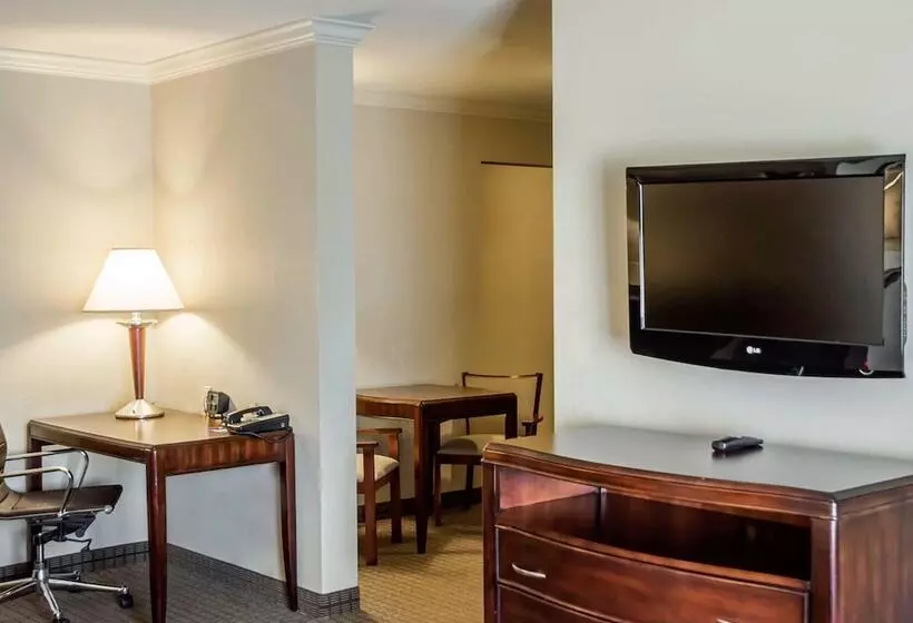スイート, Comfort Suites Cincinnati North