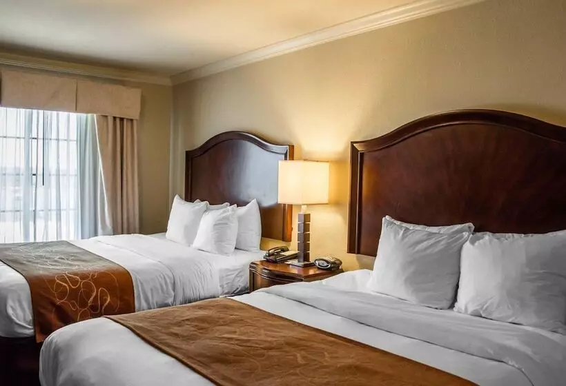 スイート, Comfort Suites Cincinnati North