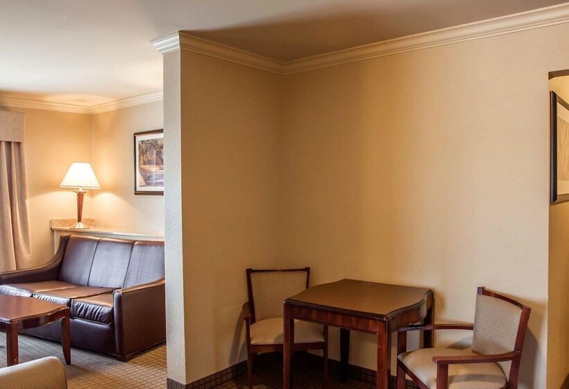 Люкс, Comfort Suites Cincinnati North