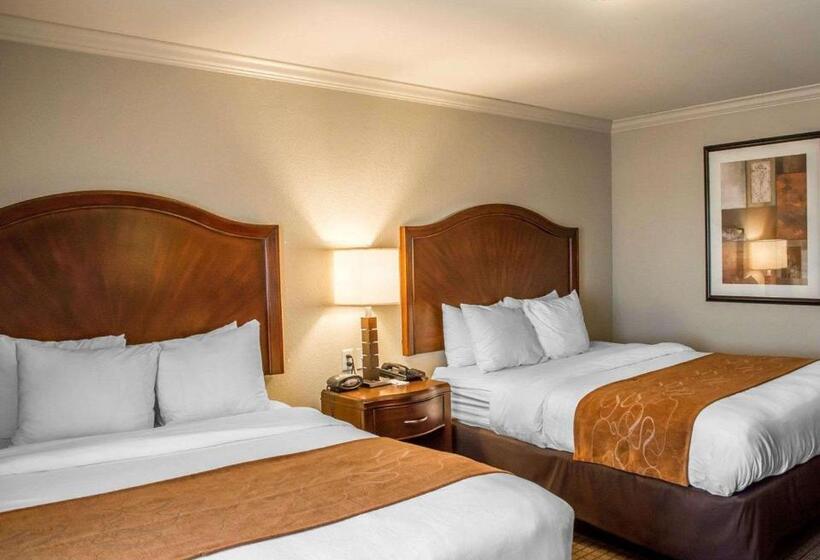 适合残疾人士使用的套间, Comfort Suites Cincinnati North