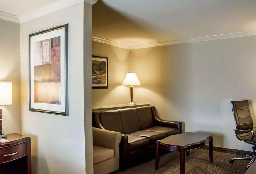 キングサイズベッドのスイートルーム, Comfort Suites Cincinnati North