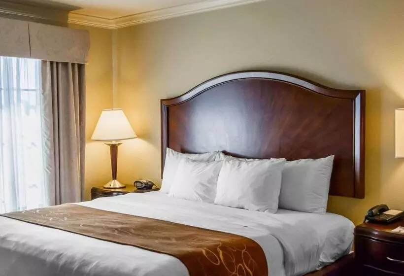 キングサイズベッドのスイートルーム, Comfort Suites Cincinnati North