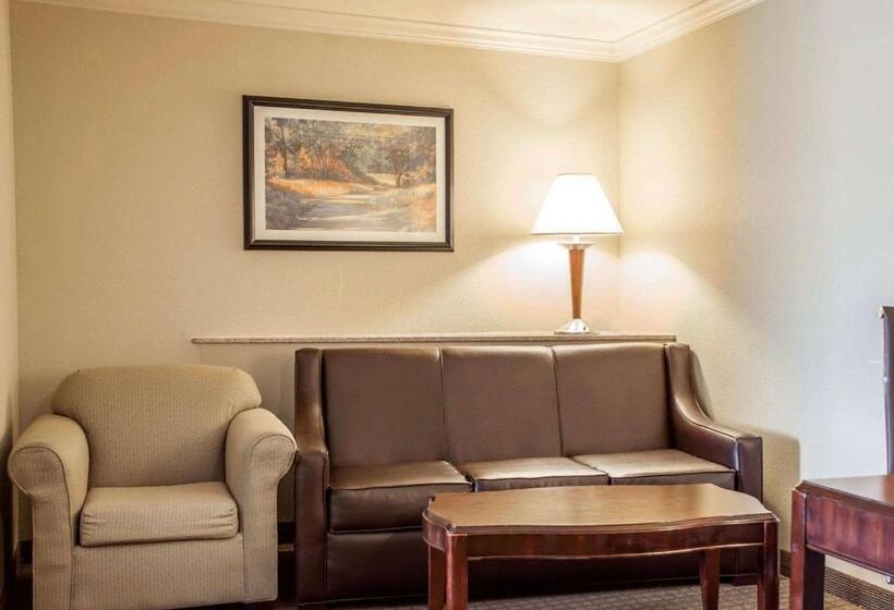 带大床的套房, Comfort Suites Cincinnati North