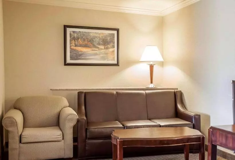 キングサイズベッドのスイートルーム, Comfort Suites Cincinnati North
