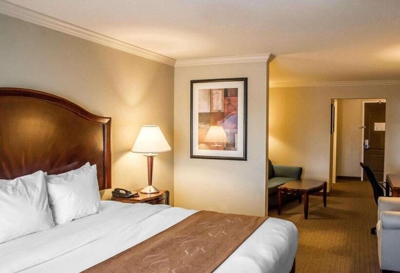 Люкс Кровать Кинг, Comfort Suites Cincinnati North
