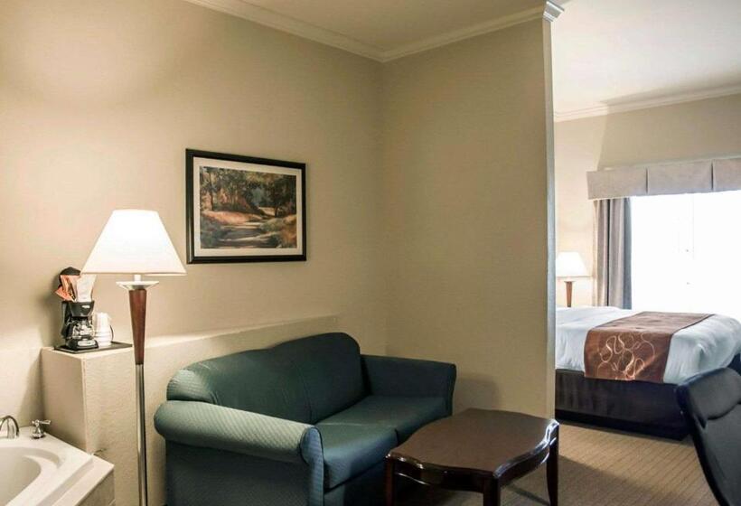 带大床的套房, Comfort Suites Cincinnati North