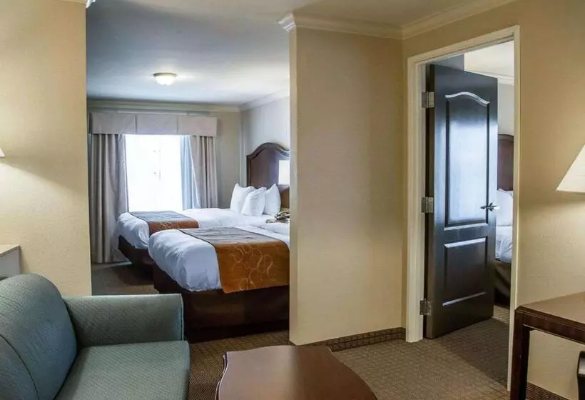コンフォートトリプルルーム, Comfort Suites Cincinnati North