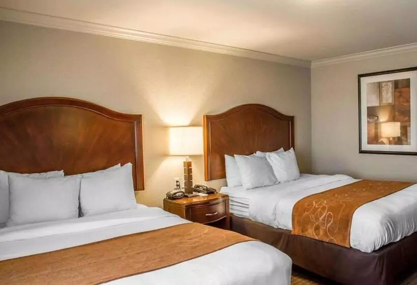 コンフォートトリプルルーム, Comfort Suites Cincinnati North