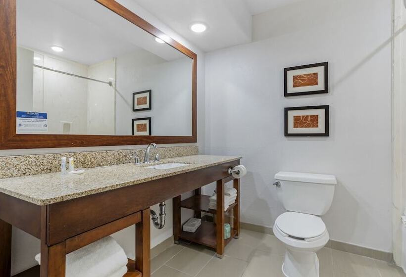 سوییت, Comfort Suites Houston Nw Vintage Park