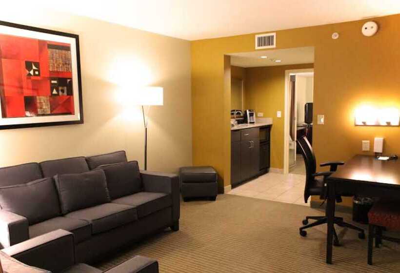 سوییت, Embassy Suites By Hilton Laredo