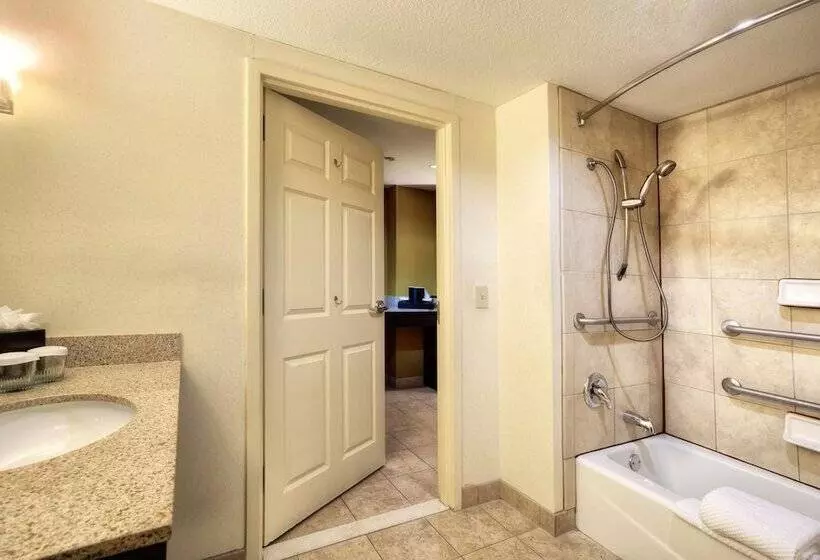 Sviitti Liikuntarajoitteisille, Embassy Suites By Hilton Laredo