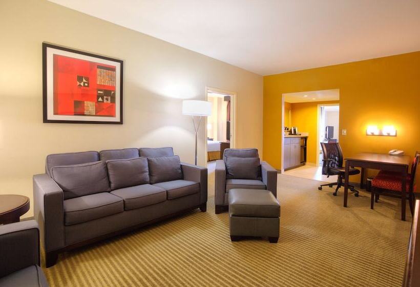 Sviitti Liikuntarajoitteisille, Embassy Suites By Hilton Laredo