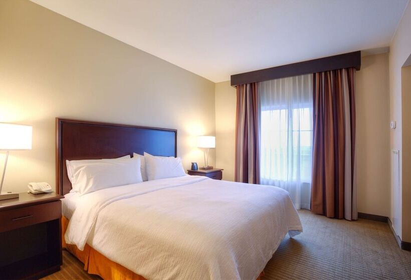 Sviitti Liikuntarajoitteisille, Embassy Suites By Hilton Laredo
