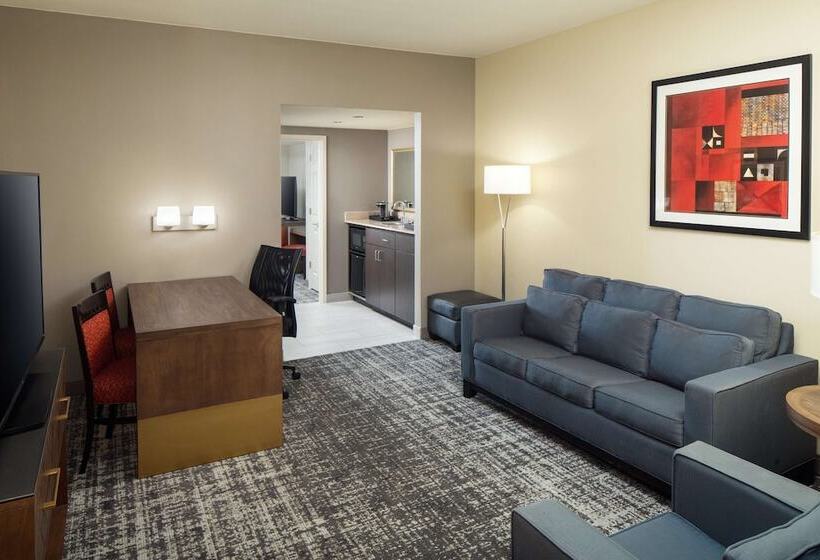 سوییت, Embassy Suites By Hilton Laredo