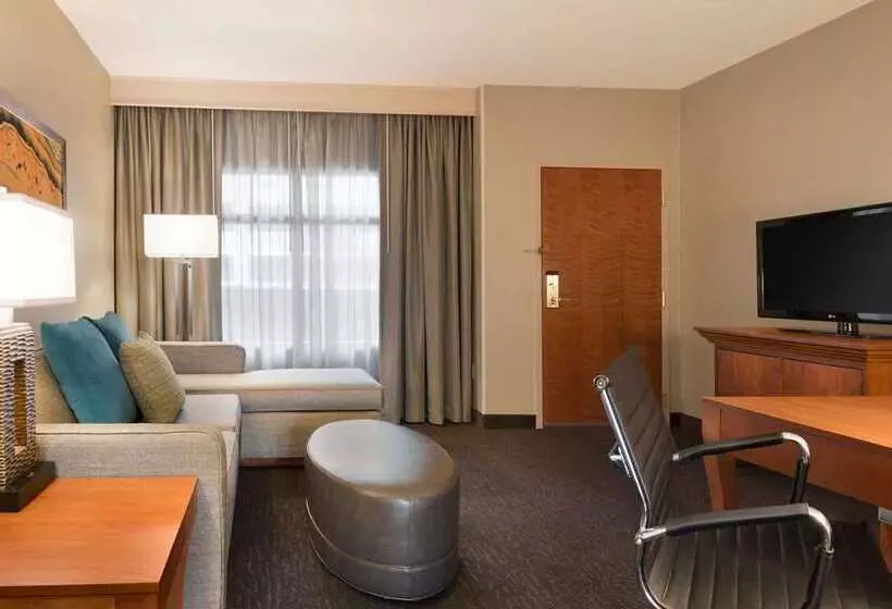 スイート, Embassy Suites By Hilton Laredo