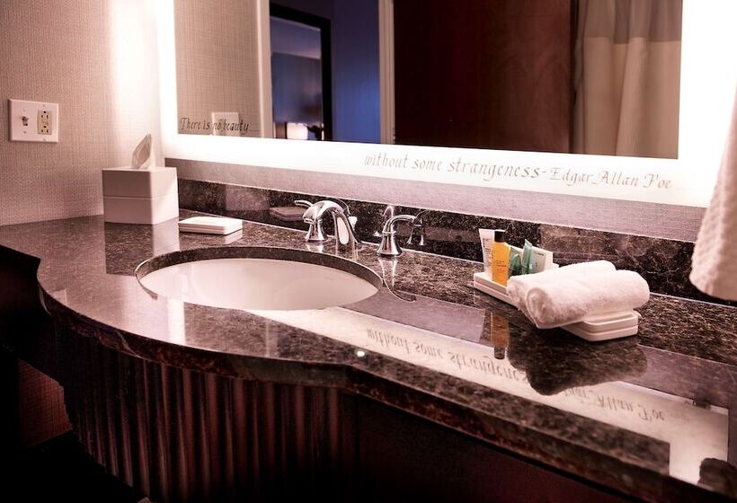 带2个双人床的标准工作室, Hilton Baltimore Inner Harbor