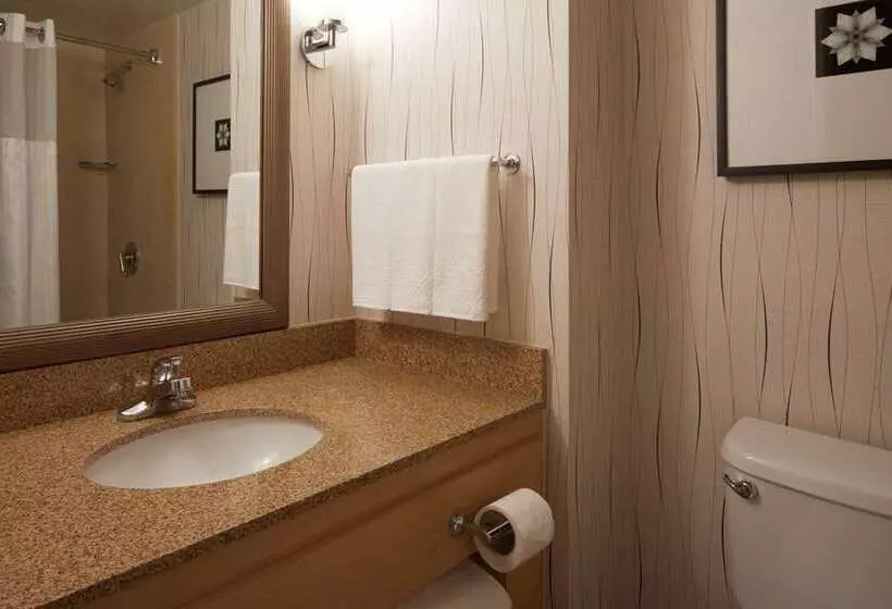 シングルデラックスルーム, Hilton Baltimore Inner Harbor