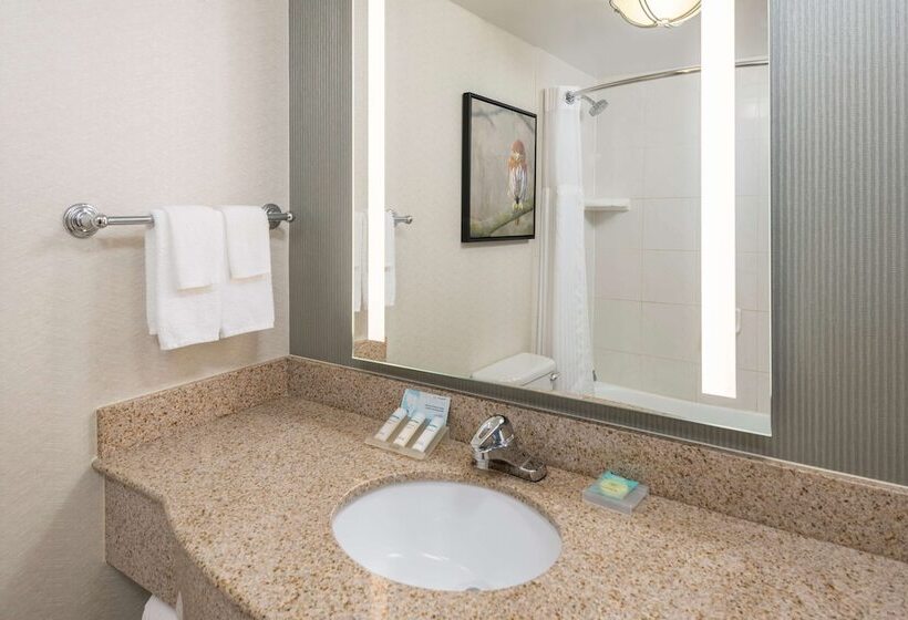 스탠다드 룸, Hilton Garden Inn Scottsdale North/perimeter Center