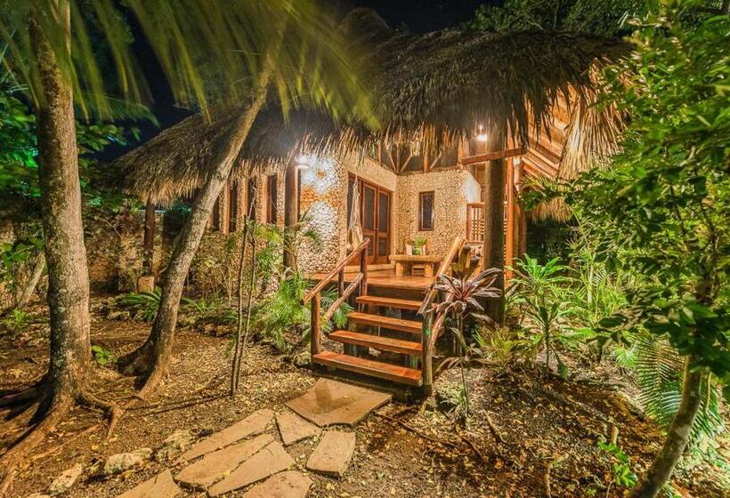 スタンダードバンガロー, Natura Cabana Boutique Hotel & Spa By Mint