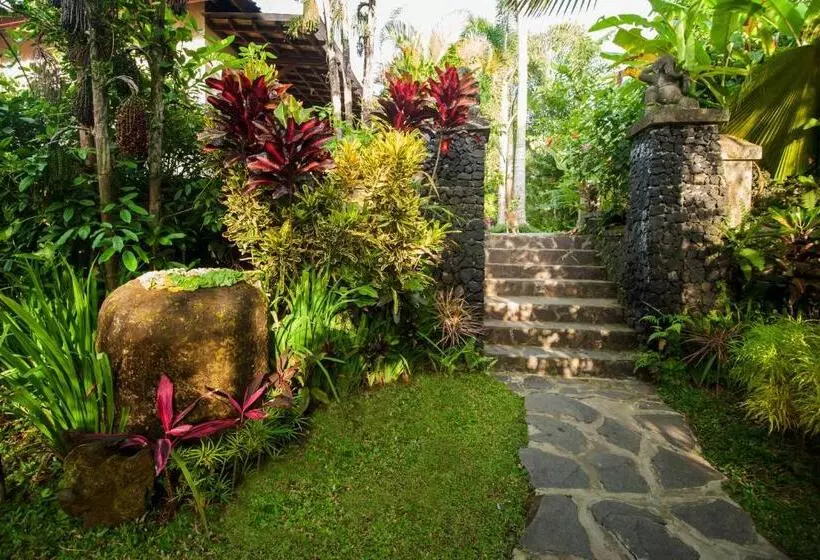 اتاق لوکس, Beji Ubud Resort