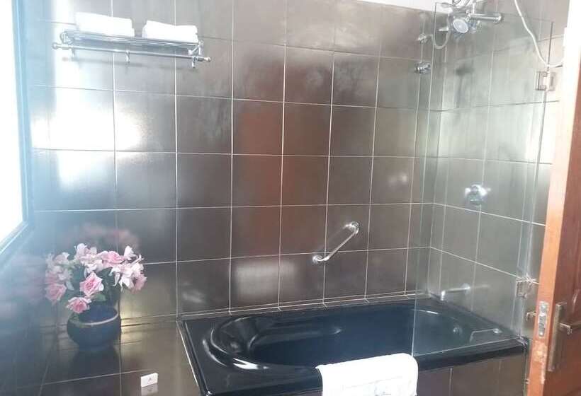 Королевский Люкс, Jayamahal Palace