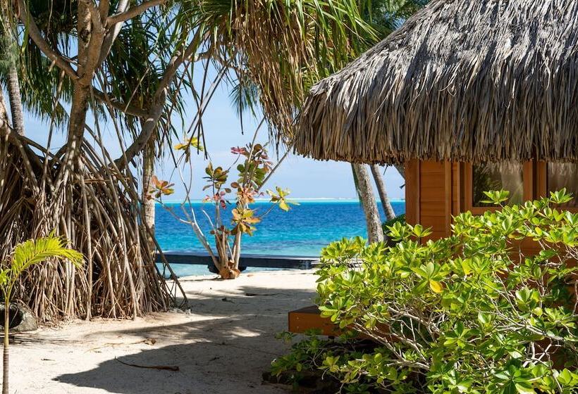 Standard Bungalow, Maitai Bora Bora