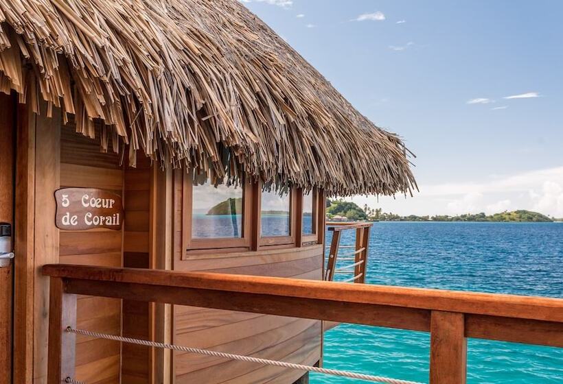Standard Bungalow, Maitai Bora Bora