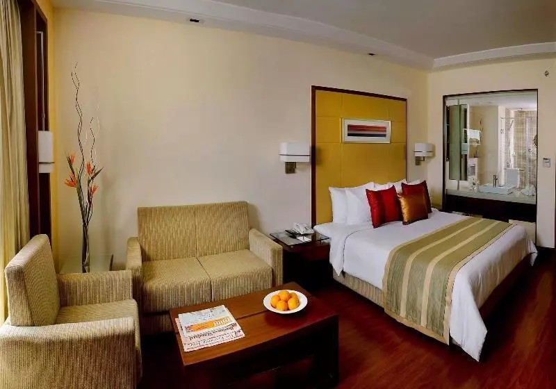 デラックスルーム, Park Inn Gurgaon