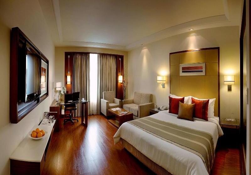 高级大房间, Park Inn Gurgaon