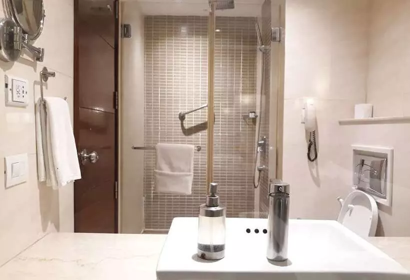 デラックスルーム, Park Inn Gurgaon