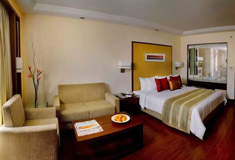 デラックスルーム, Park Inn Gurgaon
