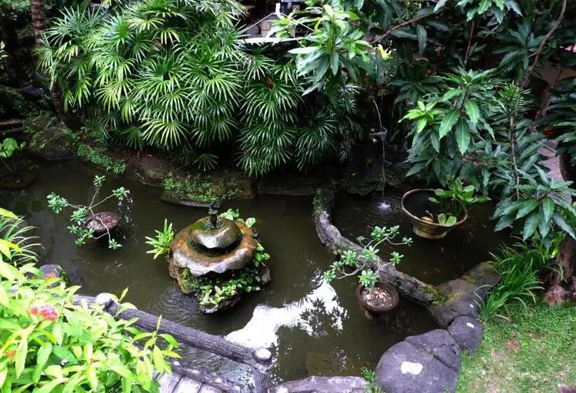 سوییت جونیور, Seminyak Paradiso