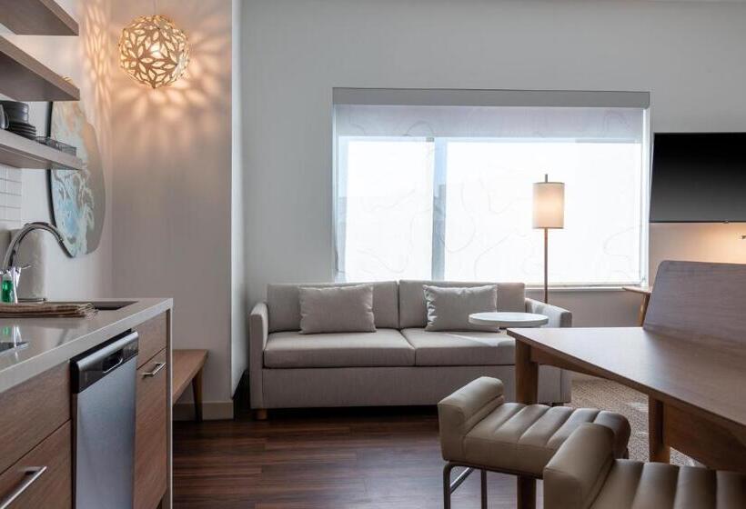 إستوديو قياسى سرير كينج, Element Dallas Richardson