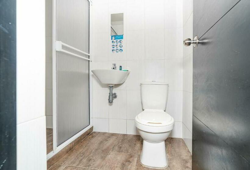 스탠다드 룸, Tree House Medellin