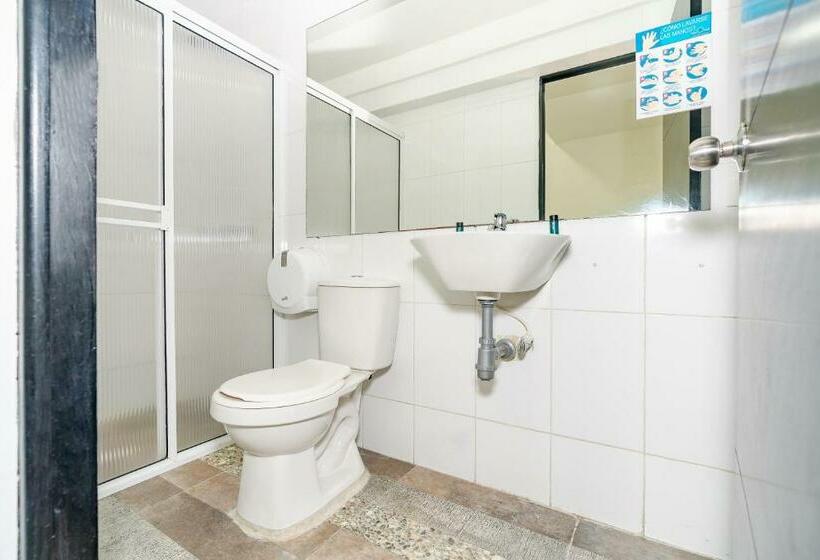 스탠다드 트리플 룸, Tree House Medellin