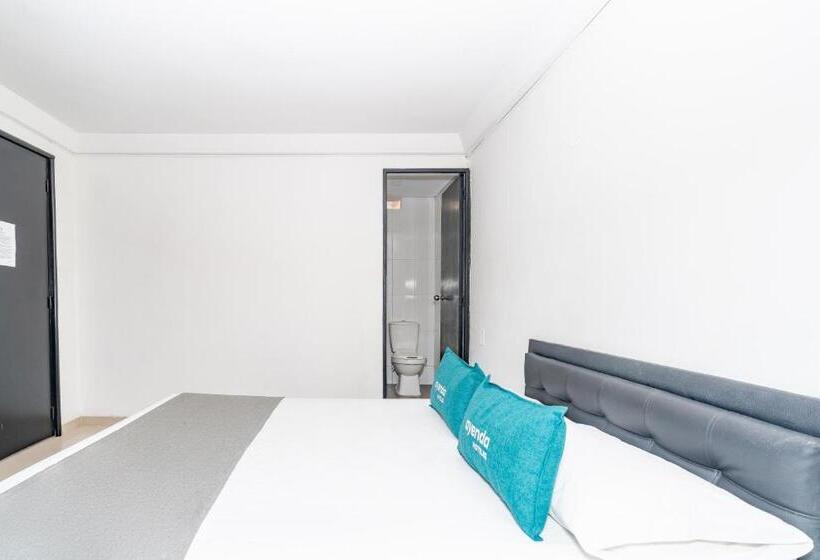 스탠다드 룸, Tree House Medellin