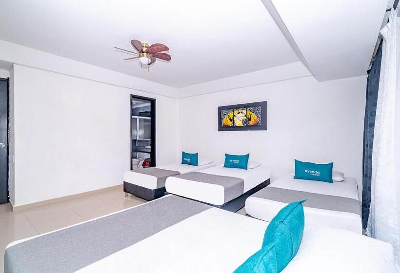 4인용 스탠다드 룸, Tree House Medellin