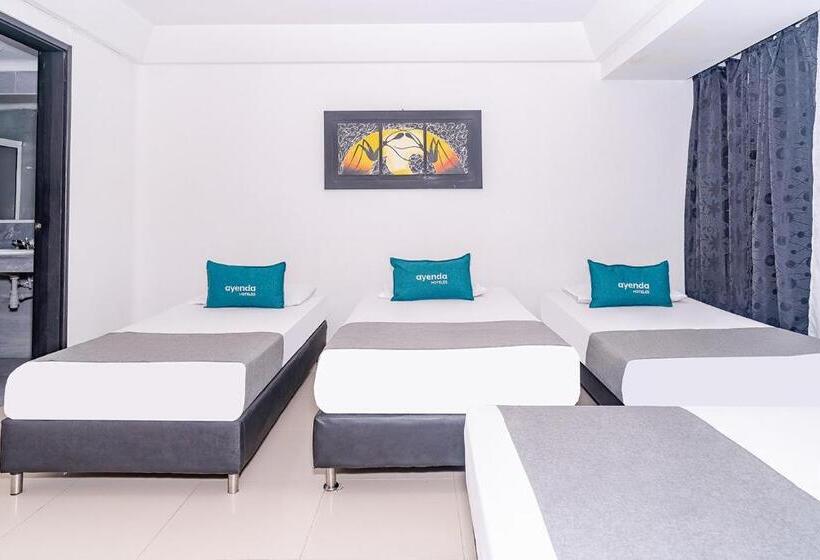 4인용 스탠다드 룸, Tree House Medellin